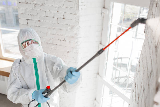 Mold Odor Removal Services in Geneva, NE