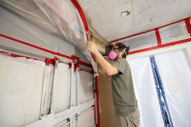 Best Environmental Consulting for Mold Prevention  in Geva, NE