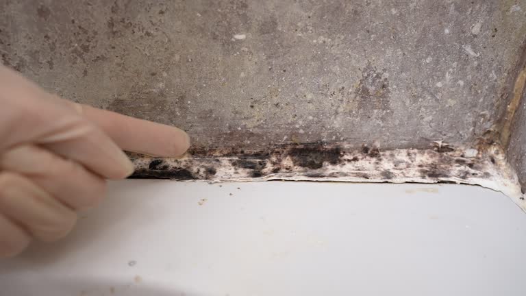 Best Residential Mold Inspection & Testing  in Geva, NE